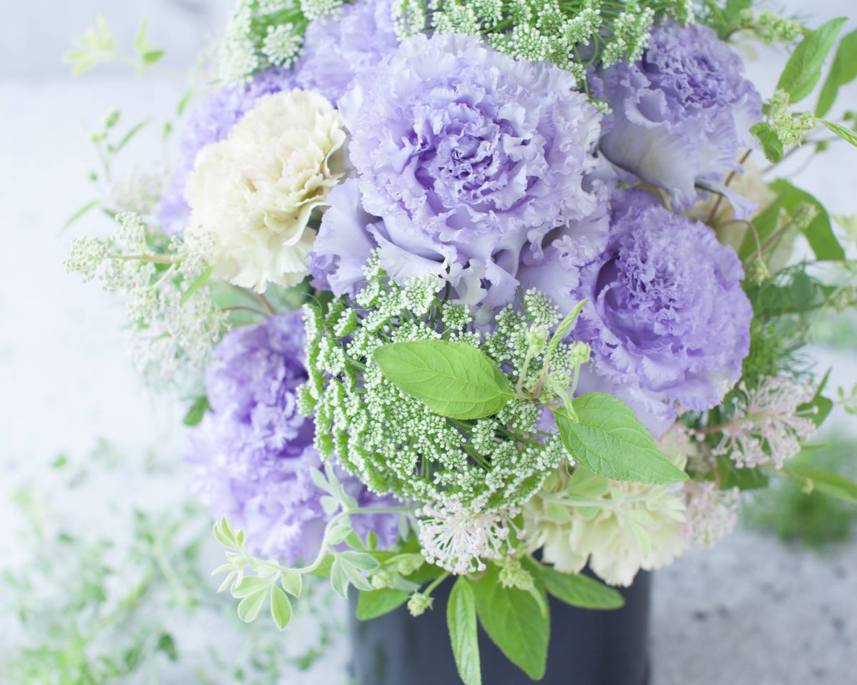 アイロニーレッスン