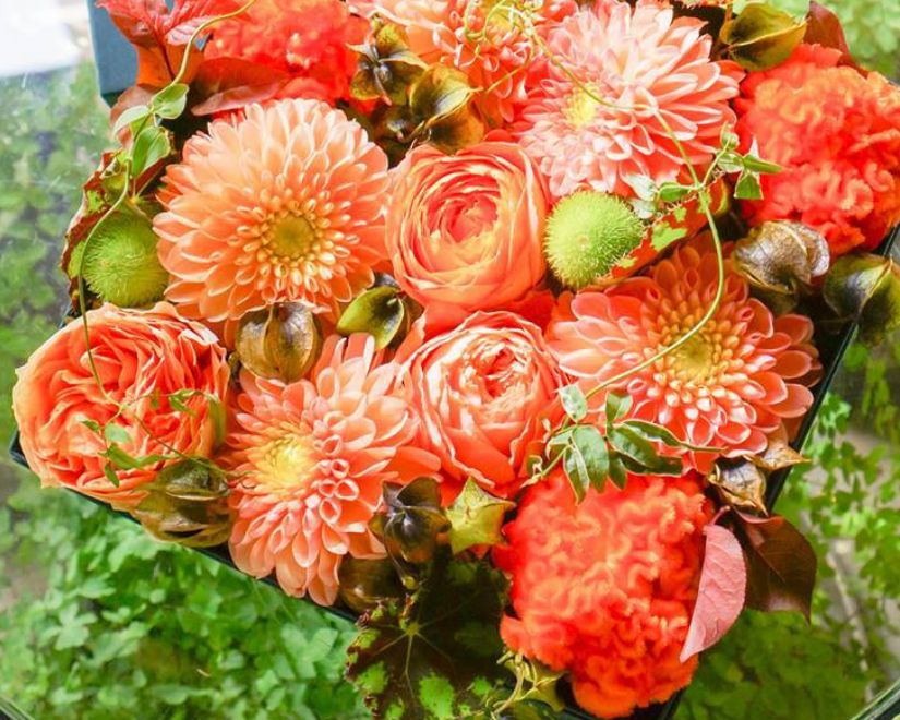 アイロニーレッスン