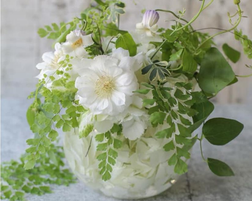 アイロニーレッスン